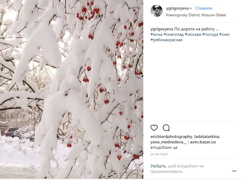 Снігопад у Москві: з'явилися фото та відео засніженого міста